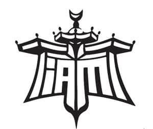 Logo du groupe iam